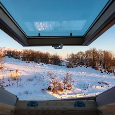 Konkal - Royal * 科帕奥尼克