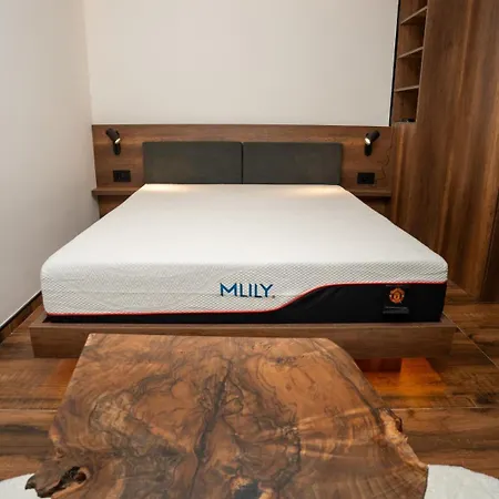 公寓 Konkal - Royal 科帕奥尼克